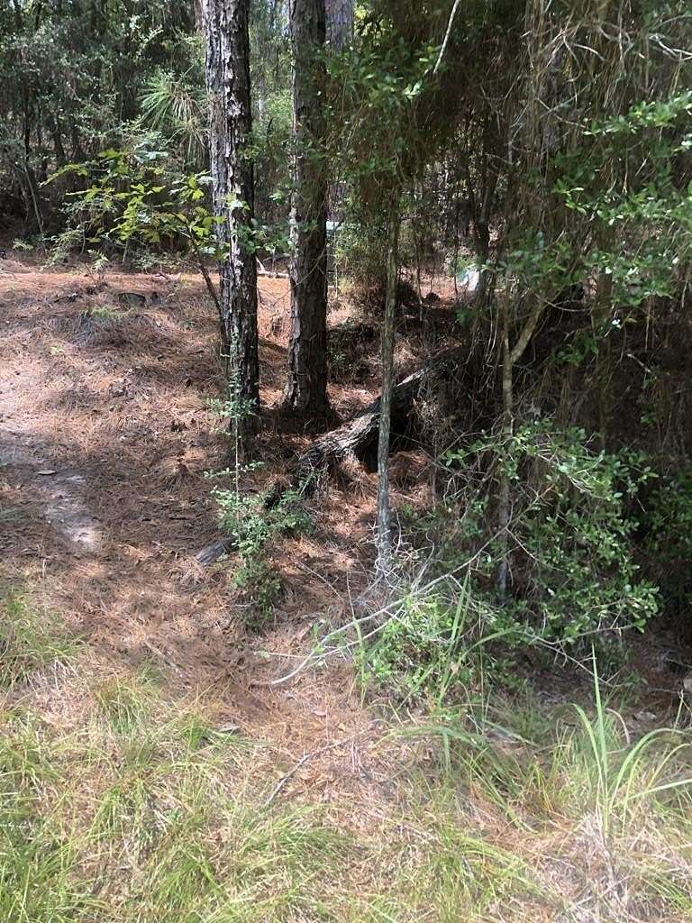 0.8 Acres of Residential Land for Sale in Brookeland, Texas