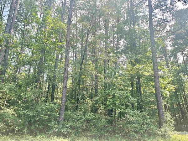 0.29 Acres of Residential Land for Sale in Hemphill, Texas