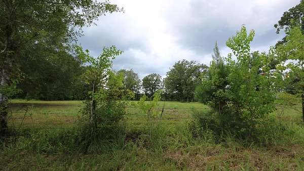 3 Acres of Land for Sale in Zavalla, Texas
