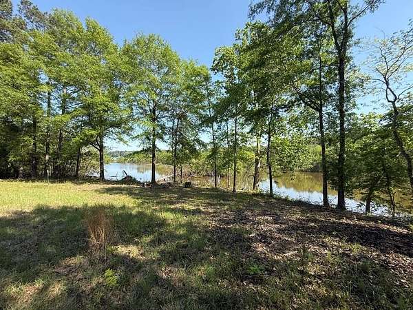 10 Acres of Residential Land for Sale in Milam, Texas