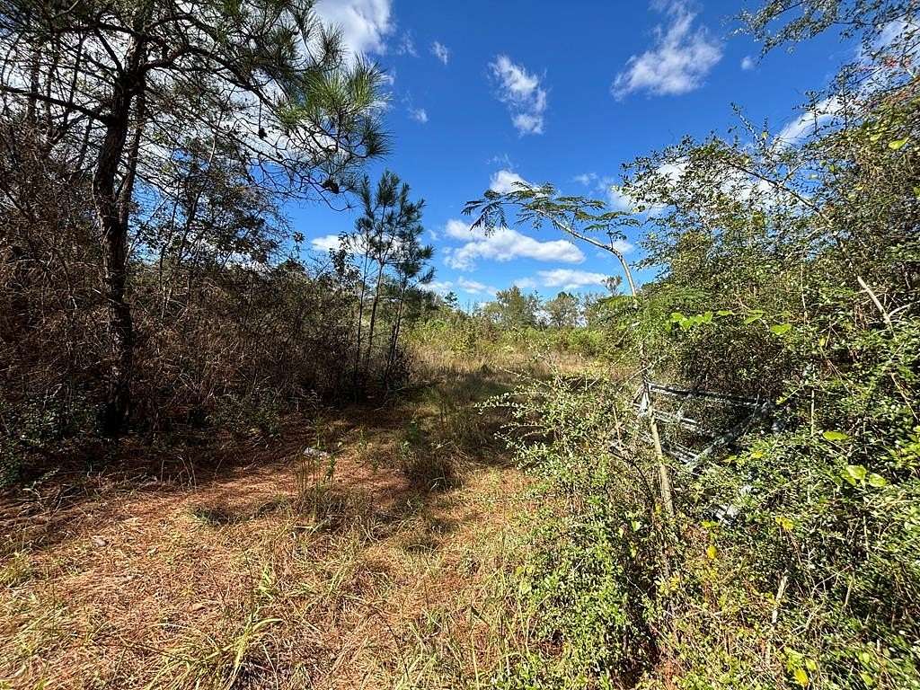 10 Acres of Land for Sale in Hemphill, Texas