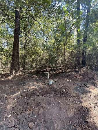 2.84 Acres of Residential Land for Sale in Milam, Texas