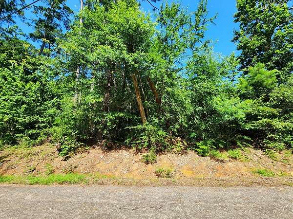 0.43 Acres of Residential Land for Sale in Hemphill, Texas