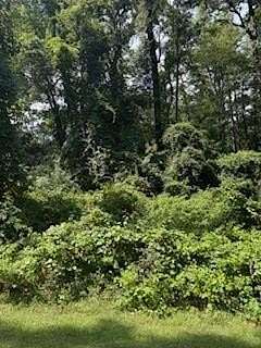 0.36 Acres of Residential Land for Sale in Hemphill, Texas