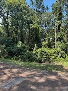 0.36 Acres of Residential Land for Sale in Hemphill, Texas