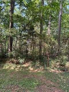 0.26 Acres of Residential Land for Sale in Hemphill, Texas