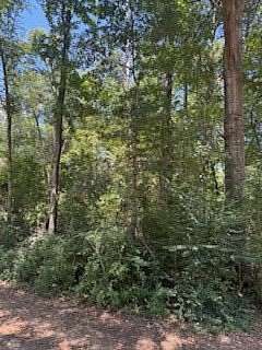 0.26 Acres of Residential Land for Sale in Hemphill, Texas