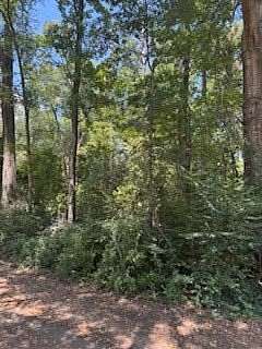 0.26 Acres of Residential Land for Sale in Hemphill, Texas