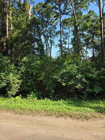 0.23 Acres of Land for Sale in Burkeville, Texas