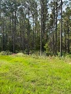 5 Acres of Residential Land for Sale in Pineland, Texas