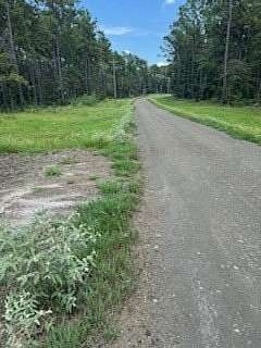 5 Acres of Residential Land for Sale in Pineland, Texas