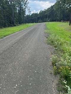 5 Acres of Residential Land for Sale in Pineland, Texas