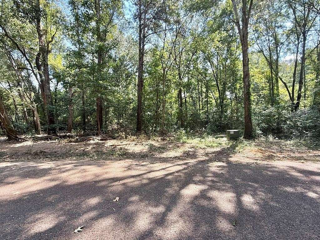 0.34 Acres of Residential Land for Sale in Hemphill, Texas