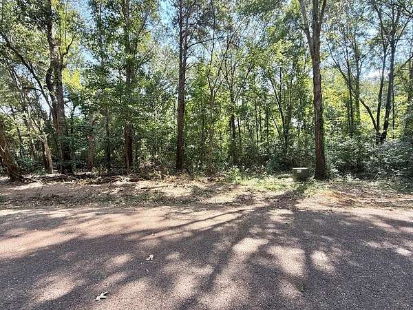 0.34 Acres of Residential Land for Sale in Hemphill, Texas