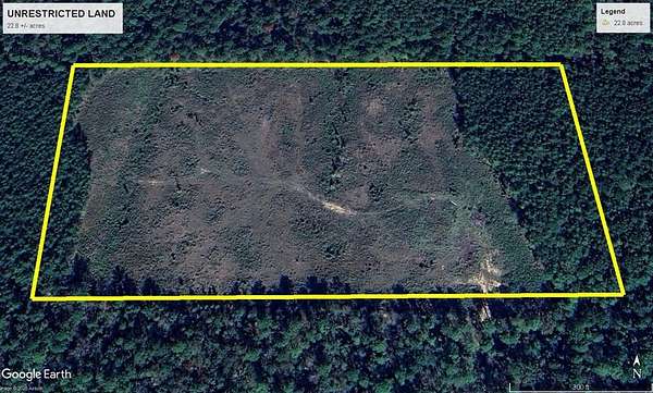 22.8 Acres of Recreational Land for Sale in Shelbyville, Texas