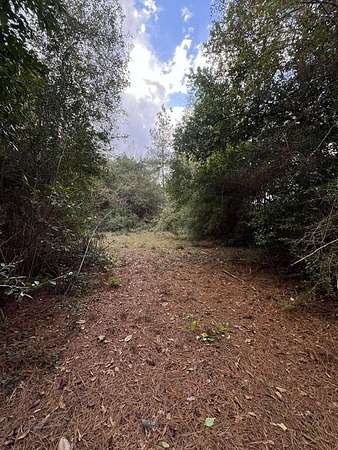 47.5 Acres of Recreational Land for Sale in Call, Texas