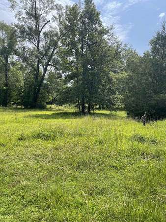 4 Acres of Residential Land for Sale in Buna, Texas