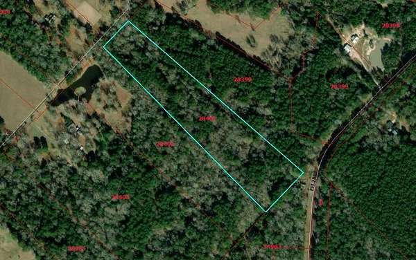 14.2 Acres of Recreational & Residential Land for Sale in Huntington, Texas