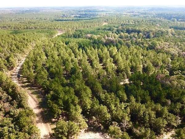 38.3 Acres of Land for Sale in Woodville, Texas
