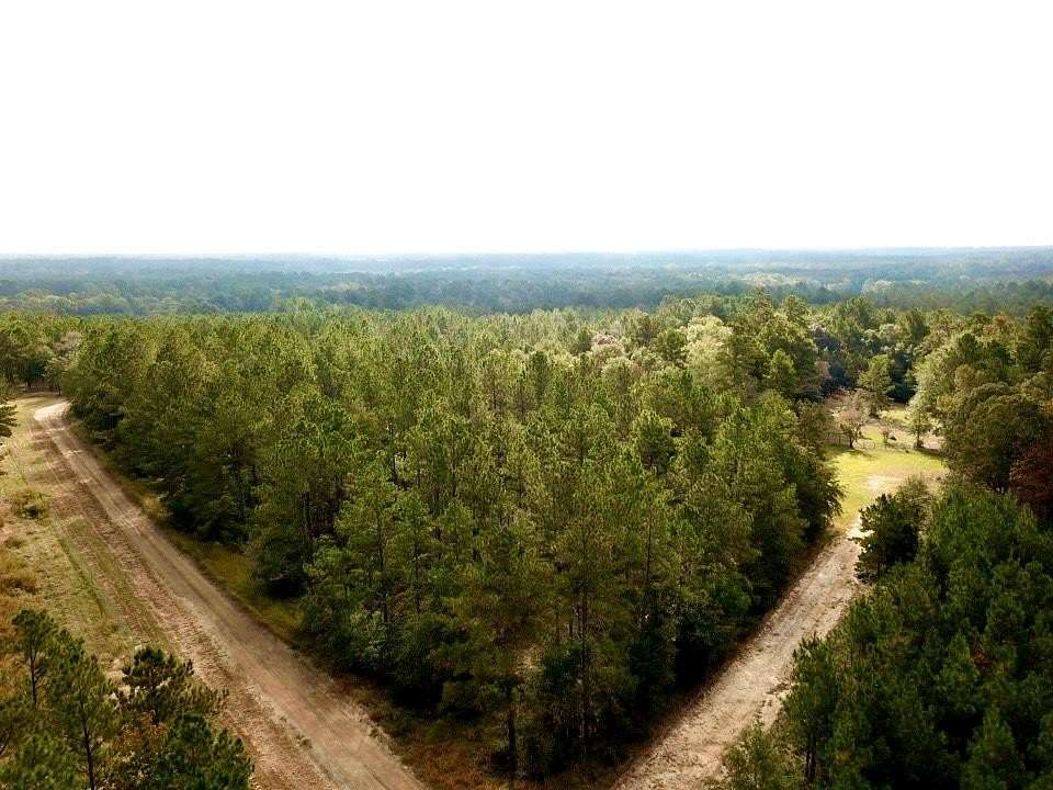 6.8 Acres of Land for Sale in Woodville, Texas