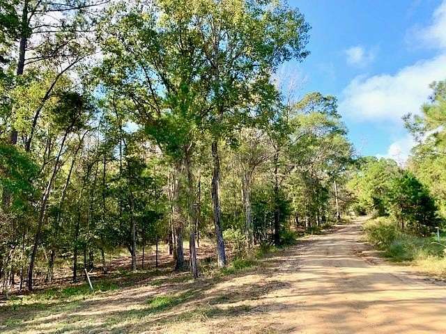 4.6 Acres of Land for Sale in Woodville, Texas