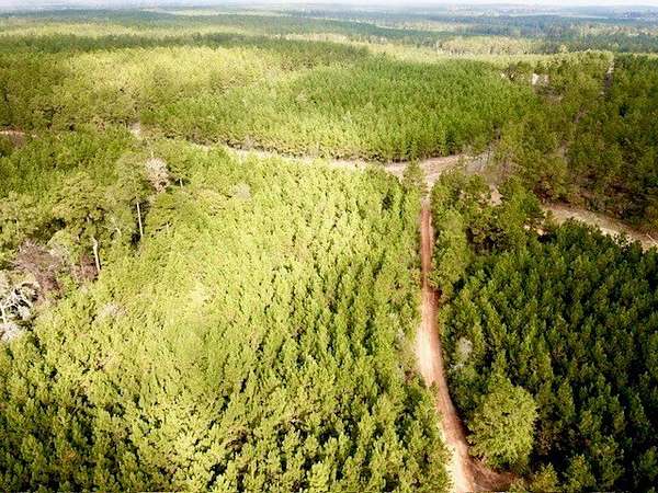 10.2 Acres of Land for Sale in Woodville, Texas