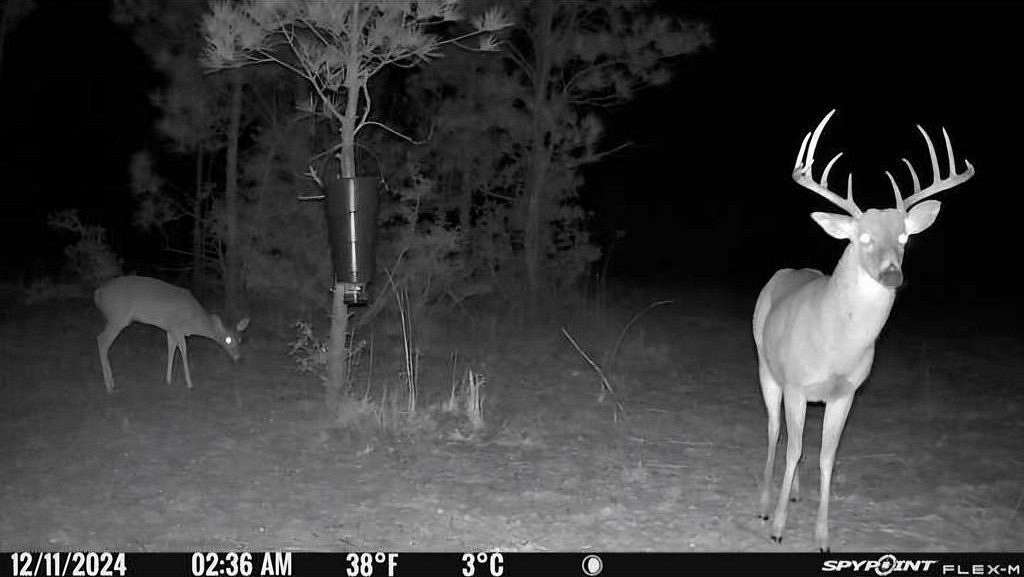 211 Acres of Land for Sale in Jasper, Texas