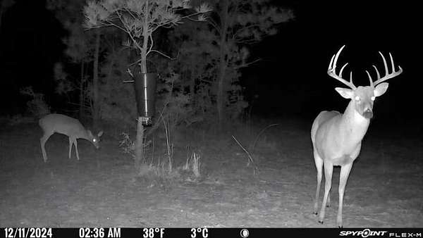 211 Acres of Land for Sale in Jasper, Texas