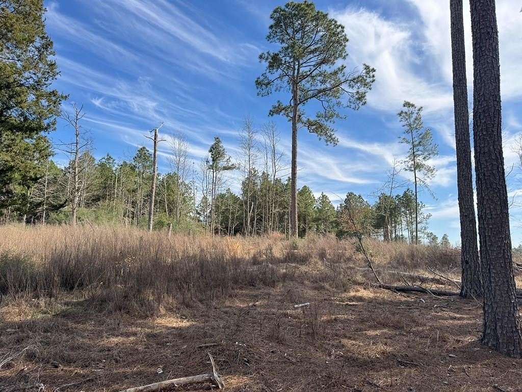 3.68 Acres of Residential Land for Sale in Alto, Texas