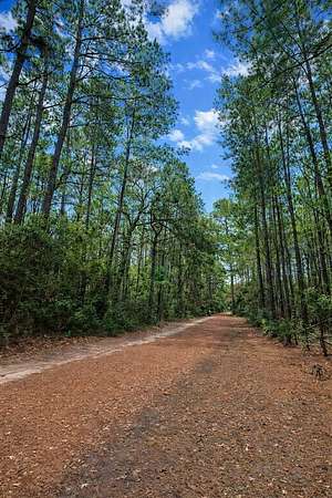 12.4 Acres of Recreational & Residential Land for Sale in Warren, Texas