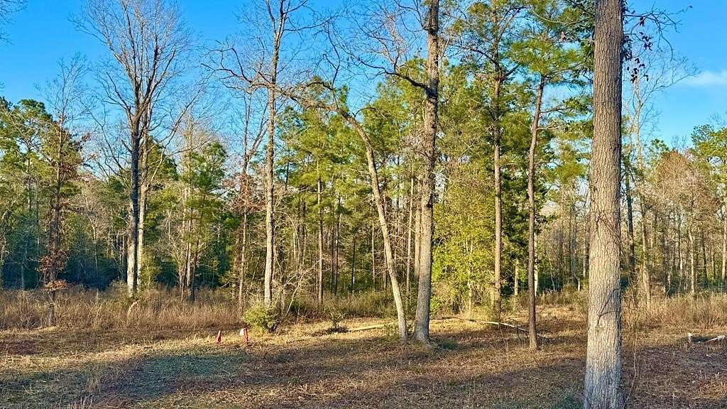 16.6 Acres of Recreational & Residential Land for Sale in Hemphill, Texas