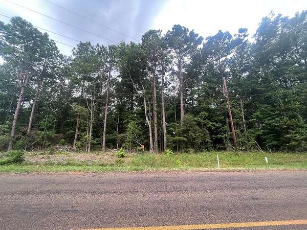 16.7 Acres of Land for Sale in San Augustine, Texas
