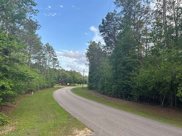 0.45 Acres of Residential Land for Sale in Village Mills, Texas