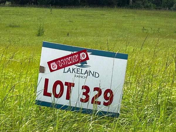 2 Acres of Residential Land for Sale in Hillister, Texas