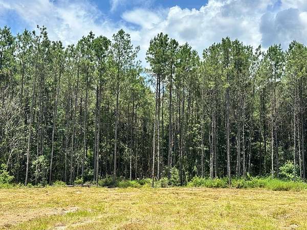 14.2 Acres of Land for Sale in Woodville, Texas