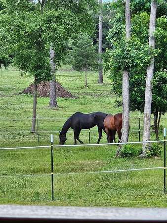 11.6 Acres of Land with Home for Sale in Colmesneil, Texas