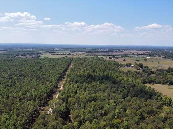 5 Acres of Residential Land for Sale in Wells, Texas