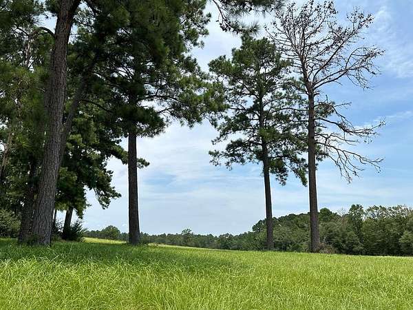 3 Acres of Residential Land for Sale in Woodville, Texas