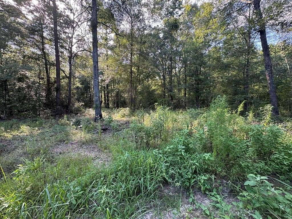 5 Acres of Residential Land for Sale in Alto, Texas