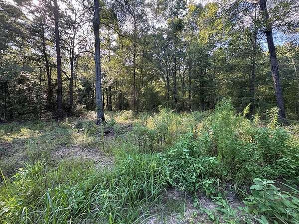5 Acres of Residential Land for Sale in Alto, Texas