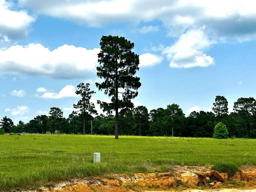 5 Acres of Land for Sale in Hillister, Texas