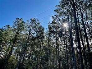 6.1 Acres of Residential Land for Sale in Colmesneil, Texas