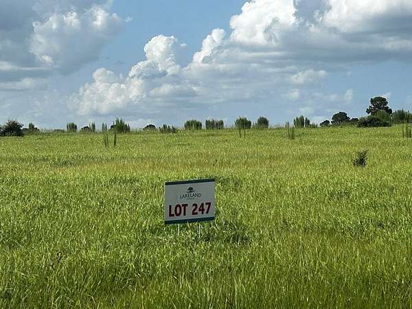 83.9 Acres of Land for Sale in Hillister, Texas