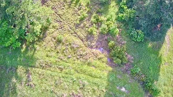 15.4 Acres of Land for Sale in Hillister, Texas
