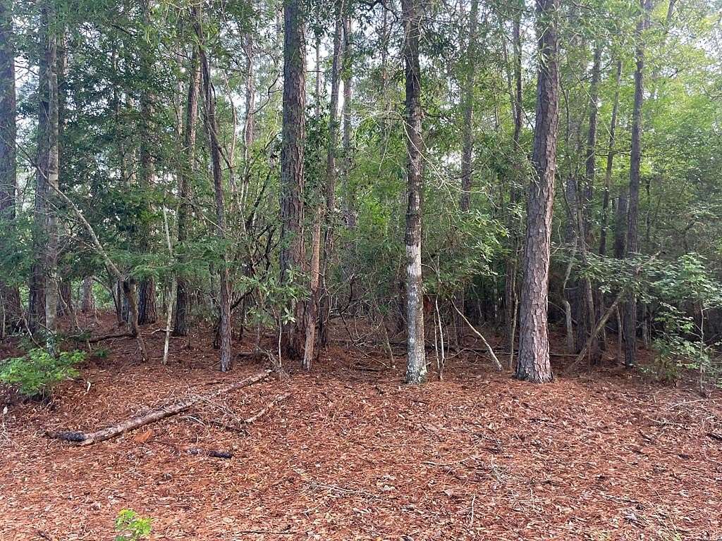 0.22 Acres of Residential Land for Sale in Village Mills, Texas