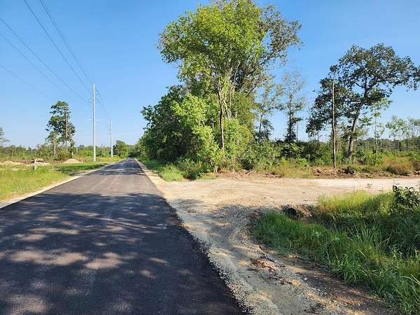31.1 Acres of Land for Sale in Sour Lake, Texas