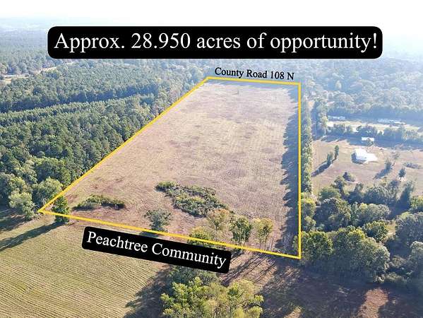 28.8 Acres of Agricultural & Residential Land for Sale in Jasper, Texas
