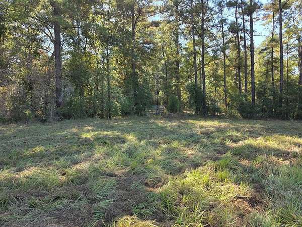 28.8 Acres of Agricultural & Residential Land for Sale in Jasper, Texas