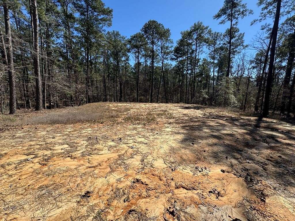 0.23 Acres of Land for Sale in Brookeland, Texas