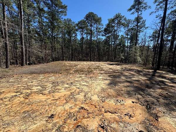0.23 Acres of Land for Sale in Brookeland, Texas